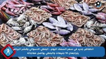 انخفاض جديد في سعر السمك اليوم.. البلطي الأسواني وقشر البياض يتراجعان 10 جنيهات والبلطي يواصل مفاجآته